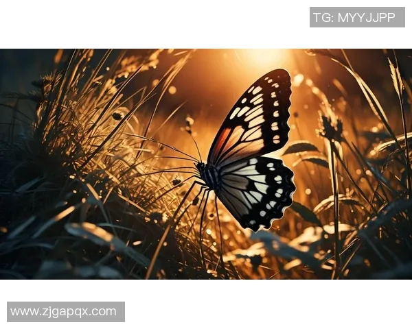 蝴蝶翩翩舞蹈与足球场上的踌躇风采 跛脚球星的逆袭传奇 蝴蝶翩翩舞蹈与足球场上的踌躇风采 跛脚球星的逆袭传奇