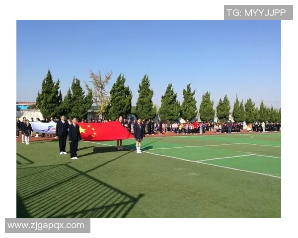 逐梦绿茵场闪耀星光巨星风采背景照片展示