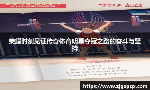 MK体育