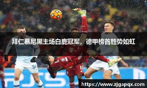 拜仁慕尼黑主场白鹿冠军，德甲榜首胜势如虹